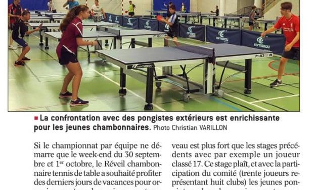 Stage de reprise