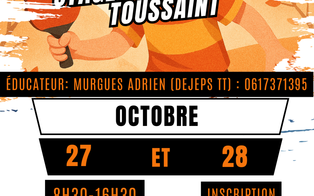 STAGE DE LA TOUSSAINT: 100% PING