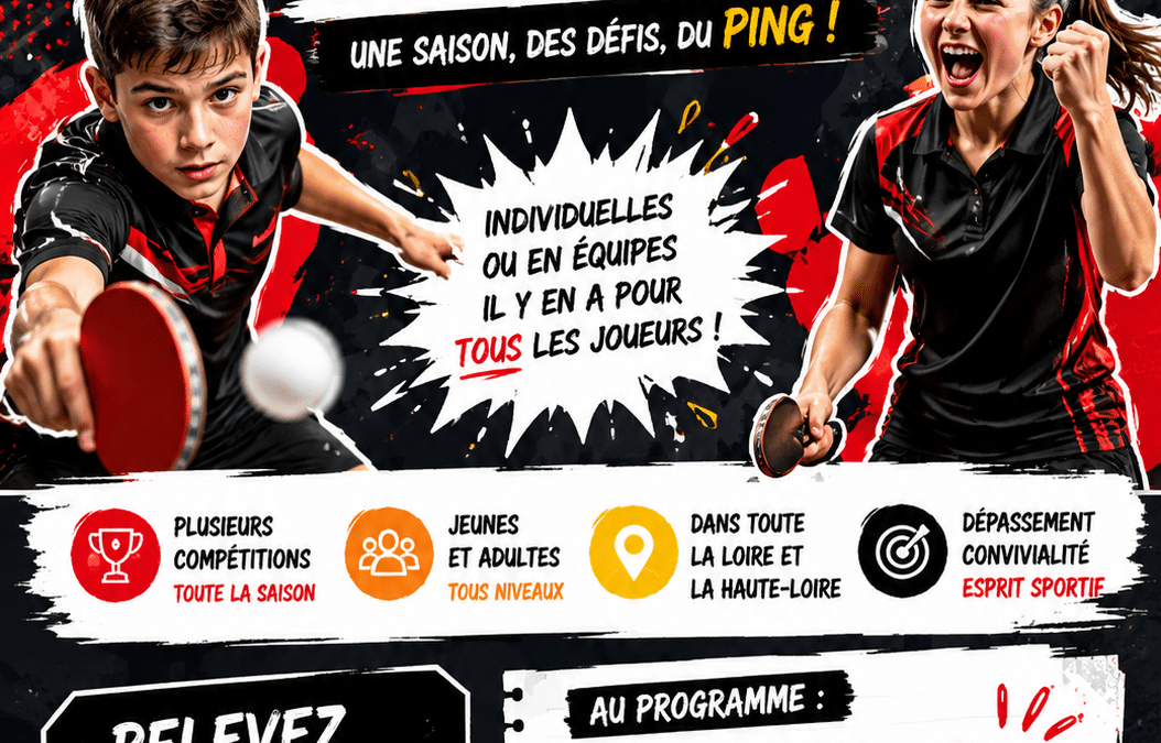 COMPETITIONS ORGANISEES PAR LE COMITE 42-43