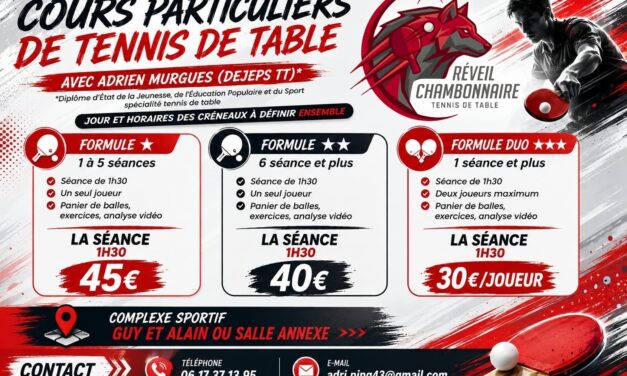 COURS PARTICULIERS EN JOURNEE